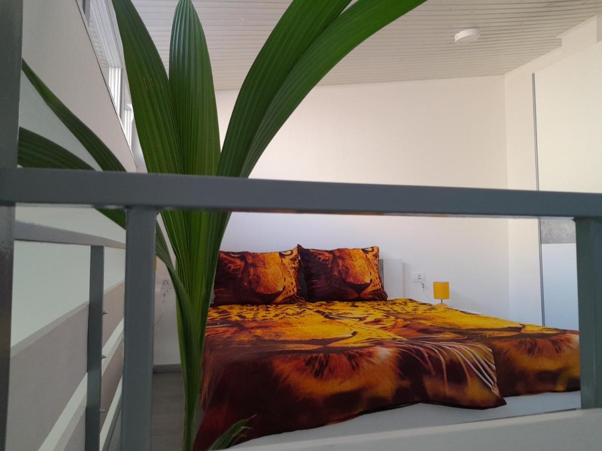 Apartments Mare Pula Dış mekan fotoğraf